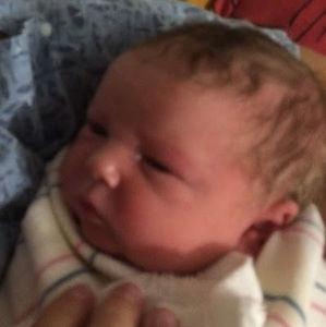 Meet your Posher, Melissa